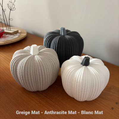 Citrouilles Minimalistes Structurées