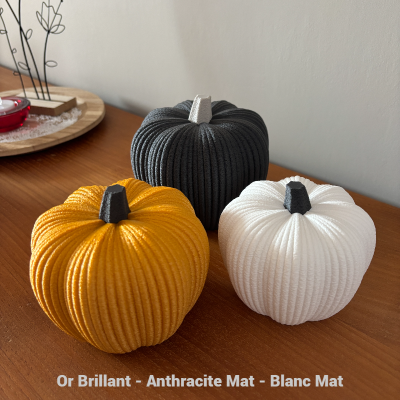 Citrouilles Minimalistes Structurées
