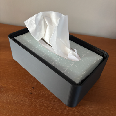 Boîte à Mouchoirs Design